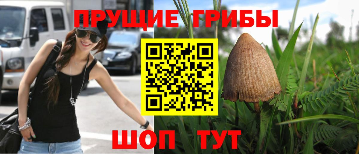 купить наркотик  Псилоцибиновые грибы Cubensis  Галлюциногенные грибы мухоморы  Вход с VPN  Гусиноозёрск 