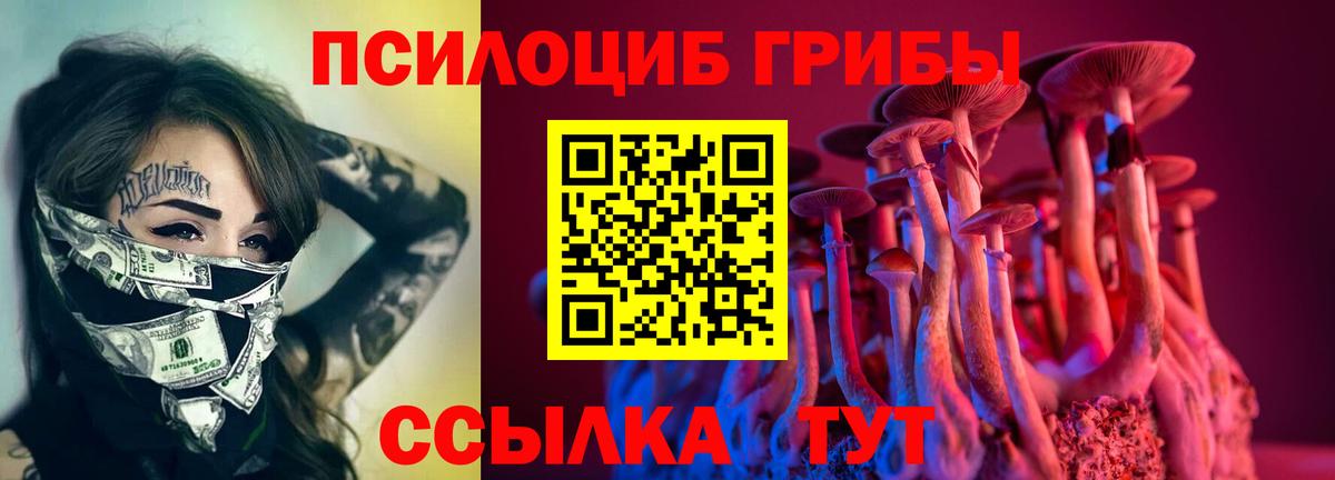 Галлюциногенные грибы GOLDEN TEACHER Гусиноозёрск